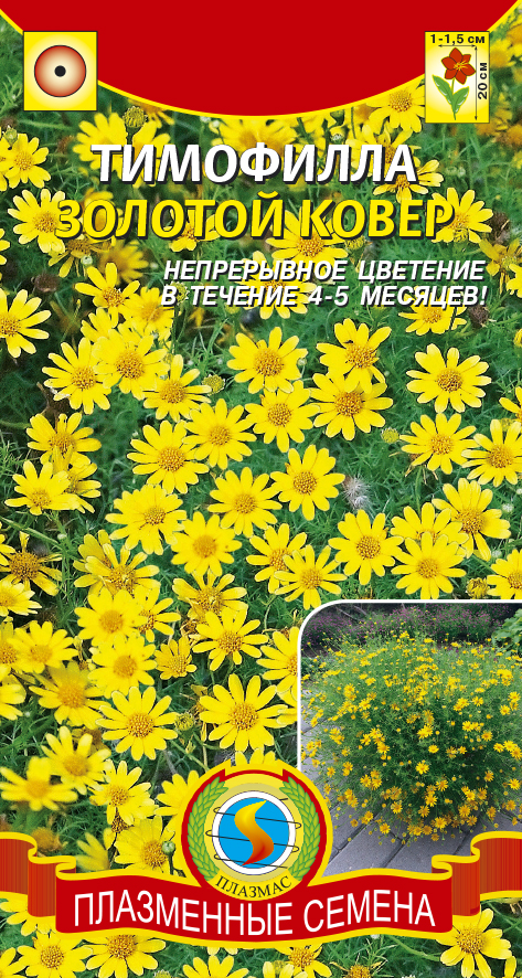 Плазменные семена